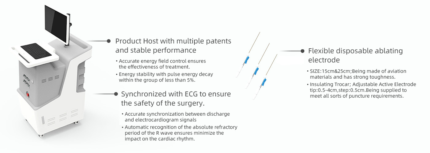 IRE High Voltage Steep Pulse Therapeutic System